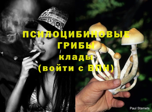 дмт Абинск