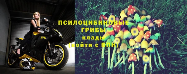 МДПВ Алзамай