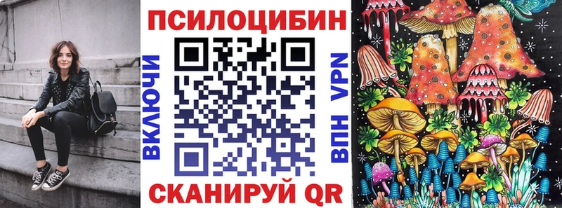 что такое   Владимир  Псилоцибиновые грибы MAGIC MUSHROOMS 