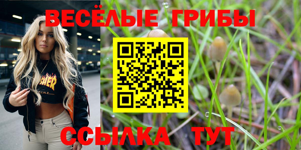 Владимир  Галлюциногенные грибы MAGIC MUSHROOMS  Вход с VPN  Галлюциногенные грибы мухоморы 